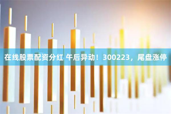 在线股票配资分红 午后异动！300223，尾盘涨停