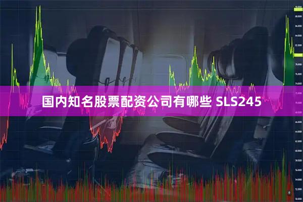 国内知名股票配资公司有哪些 SLS245